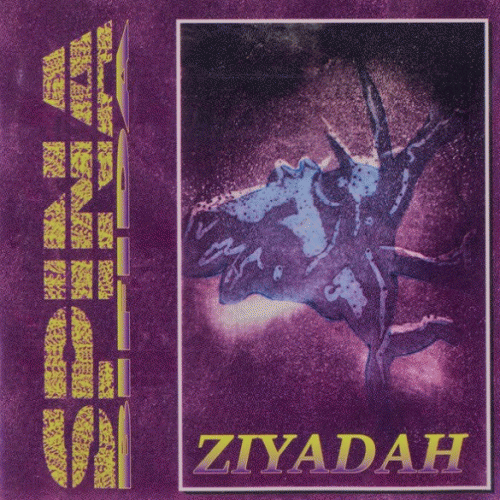 Ziyadah